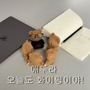신호과외