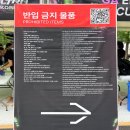 내일을 향하여 | 따끈따끈 울트라 코리아 2025 문화비축기지로 다녀온 후기