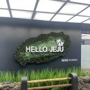 허니문장여관 | 제주여행_1편