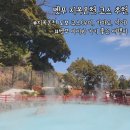 악어화장실 | 벳푸 아이와 가기좋은 곳: 지옥온천(우미&amp;가마도&amp;악어)+벳푸 공원 추천