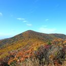 노고단-10 이미지