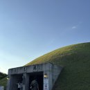 고분 | 경주 천마총·대릉원 여행 코스 추천! 금관총과 신라고분정보센터까지 알차게 둘러본 후기