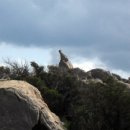 섬바위농장 이미지