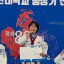 샘마을경희 태권도 이미지