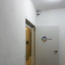 컬러콕 | 대구 퍼스널컬러 톤앤미 내돈내산 솔직후기