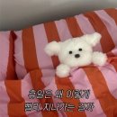 유로보따리 | 무례하긴, 순애야