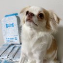 앤소프트 | BONEAPETY 본아페티 슬림앤조인트 케어 소프트사료 급여 후기🐶