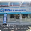 대형견 이발소 이미지