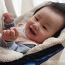 현일세탁 이미지