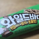 롯데 와일드바디 아이스크림 칼로리 영양성분 후기