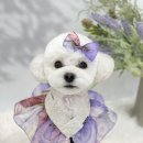 하떼하떼 이미지