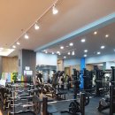 월드휘트니스 이미지