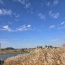 영산강자전거길안내센터 | 전남여행 영산강 억새 광주 가볼만한곳 추천 이유