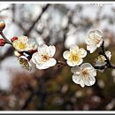 김해세무서 이미지