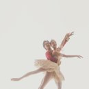 장선희 발레단 이미지