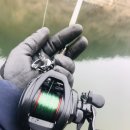 청풍명월국제하키장 이미지