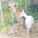 서호목장 이미지