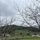 해상레스카페 | 남해여수