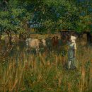 테스 (Tess) 이미지