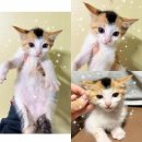 금척상리 이미지