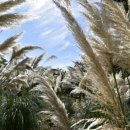 잠실중앙상가 이미지