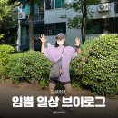 평화2동-07(한샘인테리어앞) | 이사가 너무해 : 임쁨 일상 브이로그