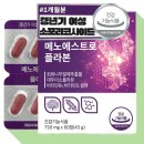 에스트로정 쇼핑하우