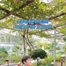 일류식물원