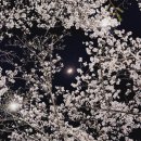 만선감자옹심이 이미지