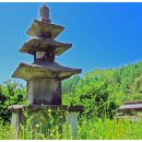 녹전로(녹전면) 이미지