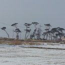 부안사슴농장 이미지