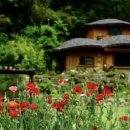 어울림편백펜션 이미지