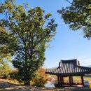 나무이야기 이미지