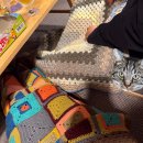 스테이 릴리 이미지