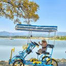 추억만들기 | 강릉 경포호 자전거 대여 가격, 주차 아이랑 추억만들기 바이크스토리 후기