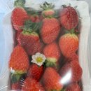 고일농장 이미지