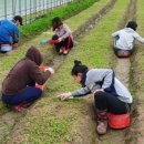 농업회사법인 유한회사 새싹 이미지
