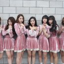 성인 우쿨렐레 이미지