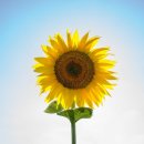 미루공인중개사사무소 이미지