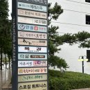 서린빌딩 | [종각 맛집]블루리본 맛집, 종각 직장인 점심 성지 🍜 오한수우육면가 서린점 후기