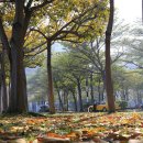 황용농장 이미지