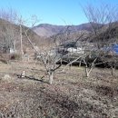 향원농장 이미지