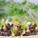 남악농장2 이미지