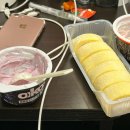 주식회사 위라이드 | #4 Tokyo, 4박 5일 6월의 도쿄 여행 [도쿄 디즈니랜드]