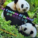 La Canzone Di Solved / Clarinet Cover 이미지