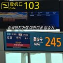 803 | KE803 대한항공 인천-천진 탑승 후기 좌석 기내식 서비스 총정리