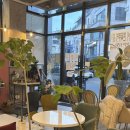 주말몰 | 강남 두쫀쿠 맛집 두바이쫀득쿠키 파는 곳 압구정 헤븐몰 주말 포장 후기