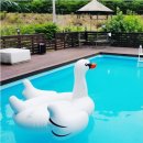 그래그래펜션 이미지