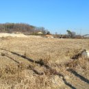 행운셀프주유소 이미지