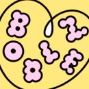 보들즈